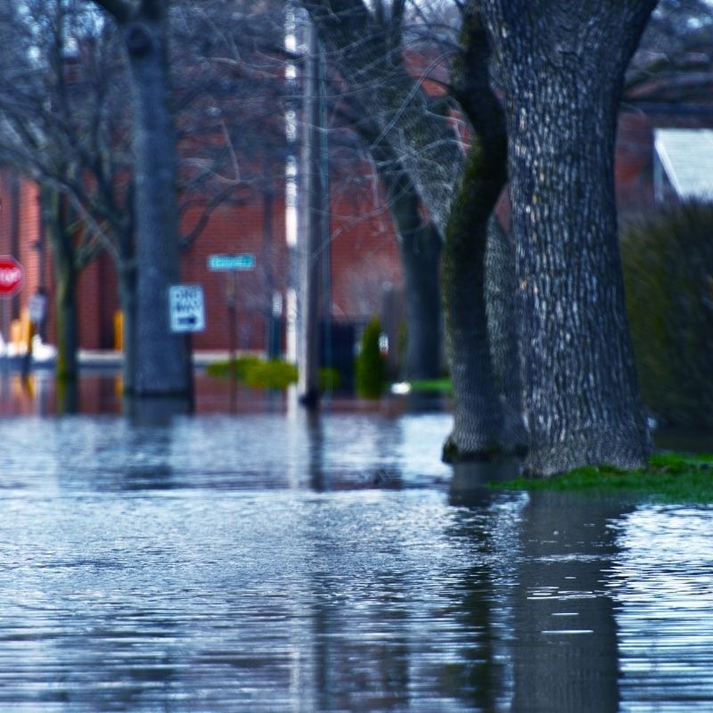 flooded street